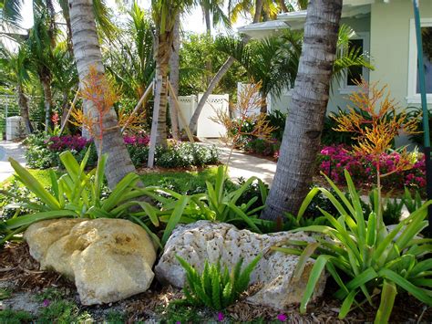 Pin By Megan Shay On Gardening Florida Landscaping Small Backyard