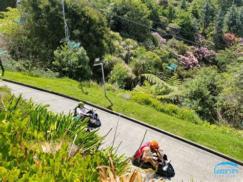 Skyline Rotorua A Must Do In North Island New Zealand Guidesify