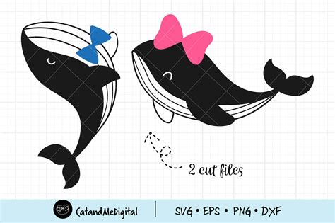 Cute Whale Svg Graphic By Catandme · Creative Fabrica