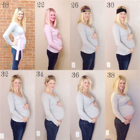 Pregnancy Belly Progression 18 Weeks 38 Weeks Pregnant 18 Weeks