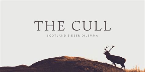 The Cull Scotlands Deer Dilemma Banff Centre