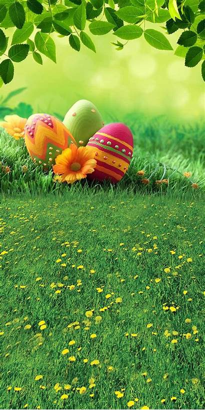 Easter Spring Egg Backgrounds Colored Backdrops Kate