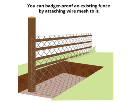 How To Install A Badger Proof Fence Free Pdf Wire Fence