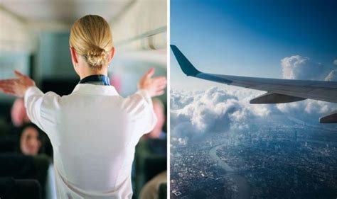 Flights Flight Attendant Reveals The Best Place To Sit On A Plane For