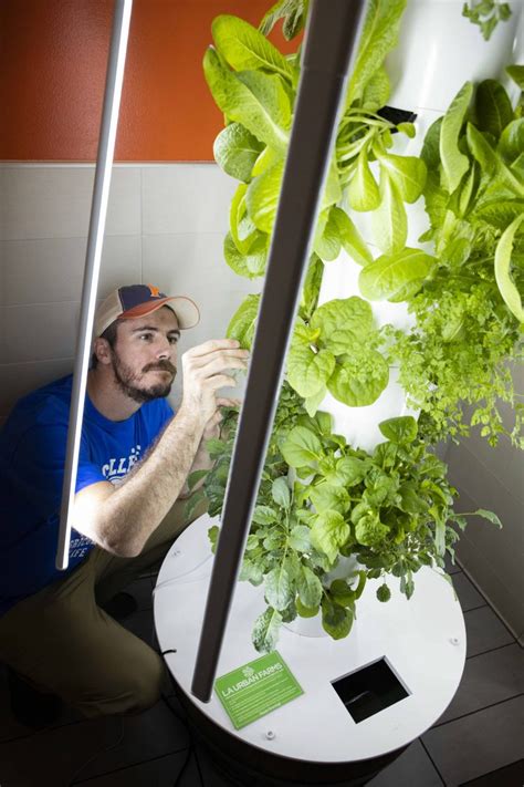 Ufs Field And Fork Program Gator Dining Services Introduce Aeroponic