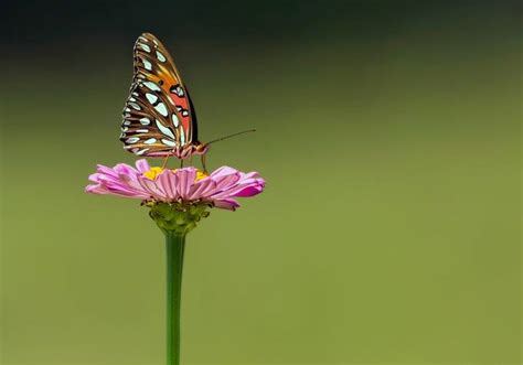 25 Photos Of Small Things In Nature That Will Shock You Blog