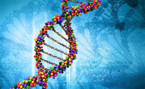 Ácidos Nucleicos Estrutura O Que é Planeta Biológico