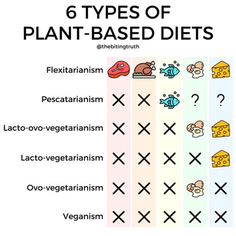 6 Types Of Vegetarian Diets Explained The Biting Truth