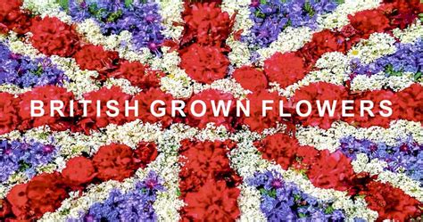 British Grown Flowers Material