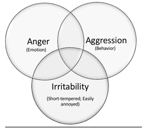 Understanding And Coping With Irritability Anger And Aggression After