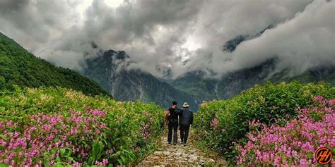 Valley Of Flowers Trek 2024 Itinerary Date Costs Best Time Hh