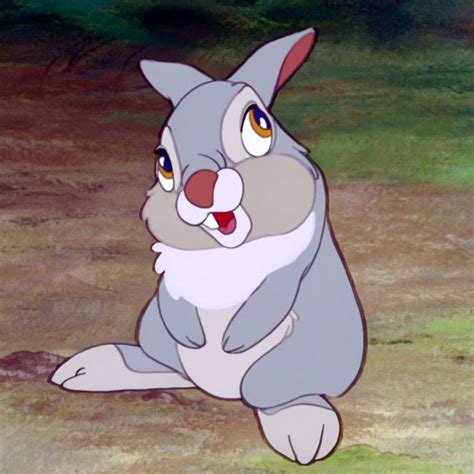 If You Cant Say Somethin Nice Dont Say Nothin At All Thumper