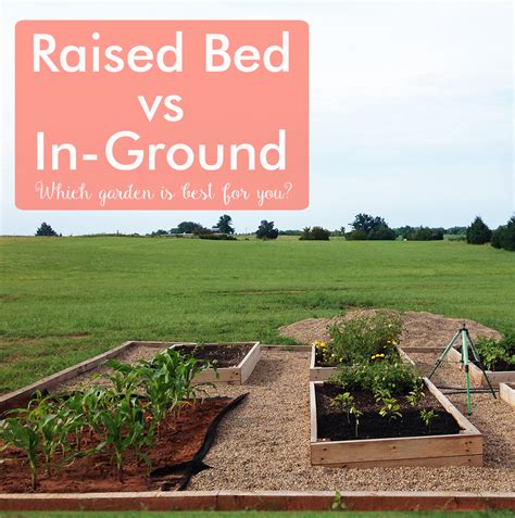 Choosing Raised Beds Or An In Ground Garden Acre Life