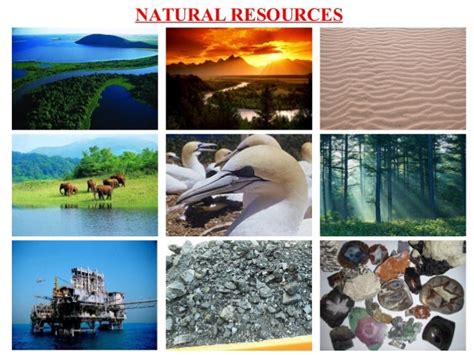 Dsert 5 Science Natural Resources Evidyaloka