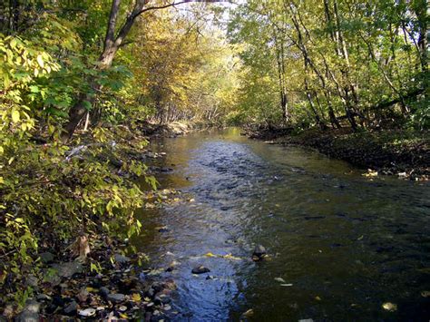 Still River In Fall Photo