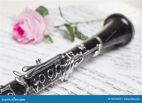 Clarinet With Red Rose Stock Image Image Of Partita 76970049