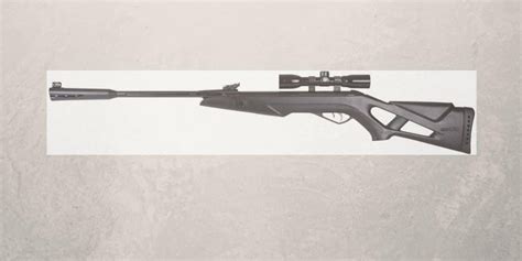 Gamo Silent Cat Air Rifle Reviewed And Rated In 2024