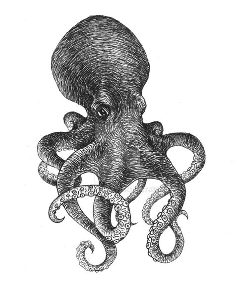 On Deviantart Octopuses Manta Ray Zentangles Art Inspo