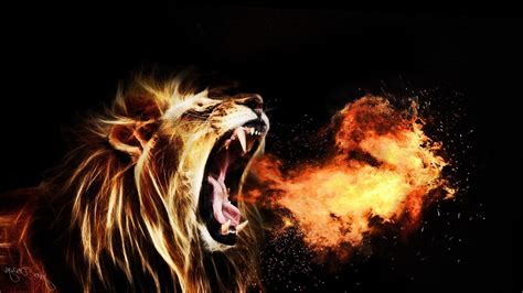 Fire Lion Wallpapers ·① Wallpapertag