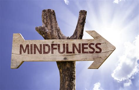 Mindfulness En La Vida Cotidiana Desata Tu Potencial