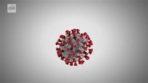 ¿cuál Es El Periodo De Incubación Del Coronavirus Video Cnn