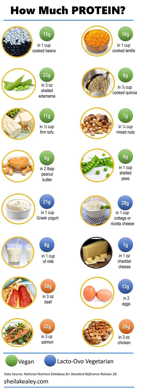Food Protein In Grams Chart
