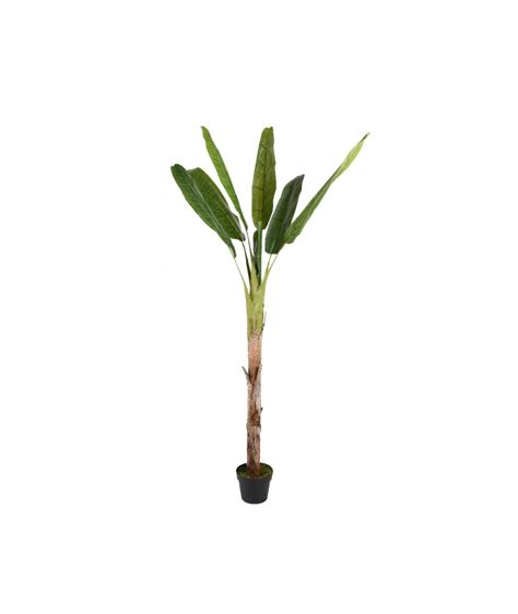 Deco Plant Banana Tree