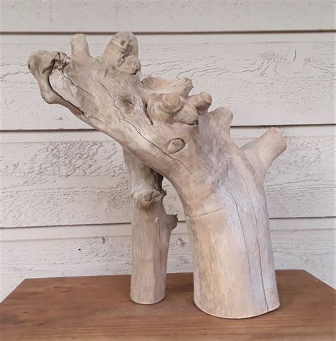 Natural Driftwood Sculpture Free Us Shipping