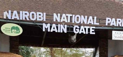 Nairobi National Park Entrance Fee 2022 Nairobi National Park