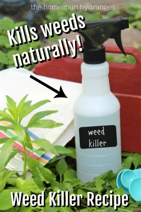 For the organic gardener, a thoughtful approach and diligent maintenance are the tools of the trade. Natural 2 Ingredient Weed Killer Recipe - The Homespun ...