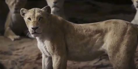 So Unterscheidet Sich Der Neue „könig Der Löwen” Vom Zeichentrickfilm