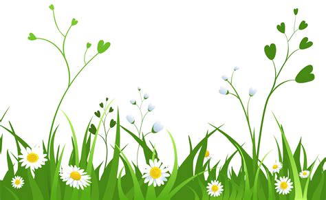 Daisies With Grass Picture Png Vibrant Colors