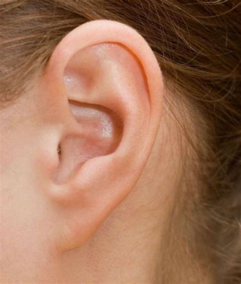 Check Out These Types Of Ears And Personality Associated With Them
