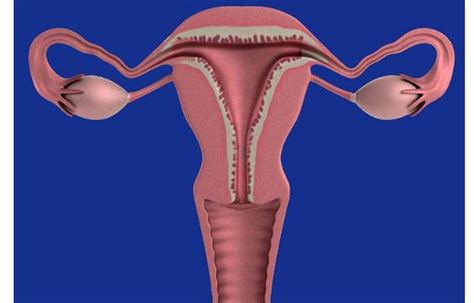 Abnormal Uterine Bleeding What Are The Causes And How Is It Treated Ph
