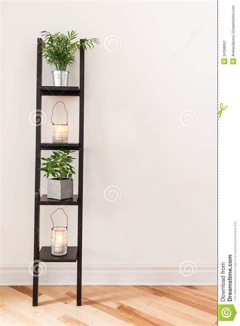 Shelf With Plants And Lanterns Stock Image Image Of