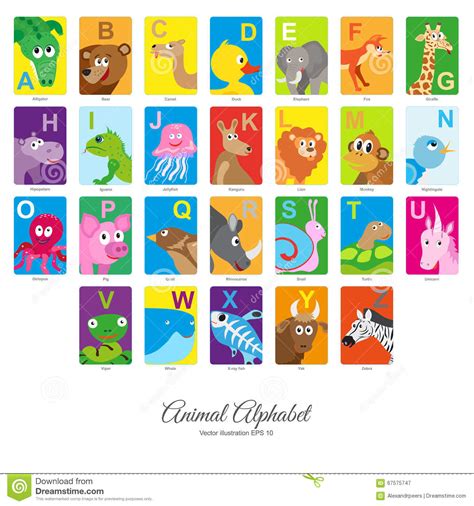 Flat Animal Alphabet Stock Vector Image 67575747