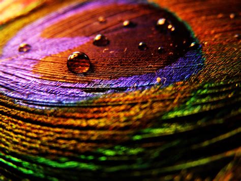 Beautiful Colorful Water Drops Wallpapers Weneedfun