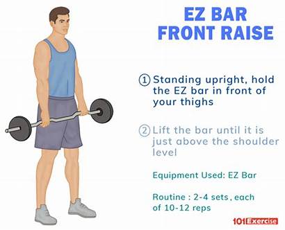 Raise Ez Bar Muscles Worked Benefits Shoulder