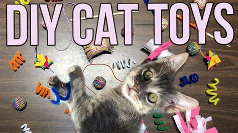 5 Easy Cat Toys Kids Can Make At Home Youtube