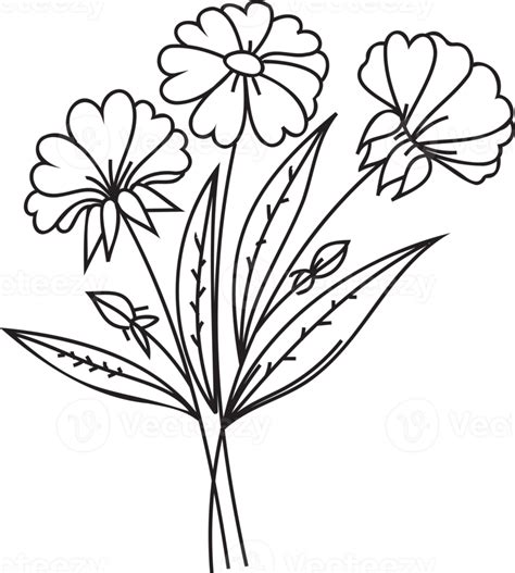 Flower Line Art Illustration With Black Thin Line Png With Transparent