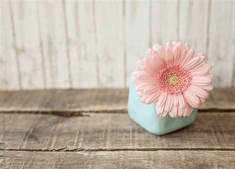 A Pastel Pink Flower In A Pale Blue Vase On A Weathered