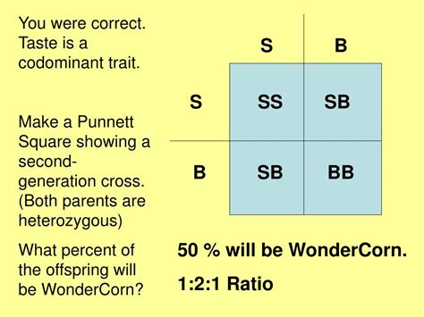 Punnett square ratios mcat genetics guide. PPT - Codominance PowerPoint Presentation, free download ...