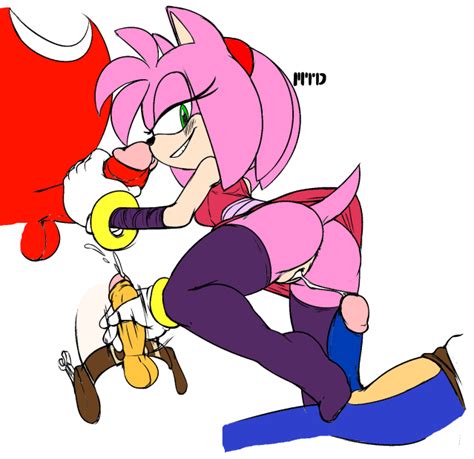 1305417 Amy Rose Knuckles The Echidna Marthedog Sonic Boom Sonic Team