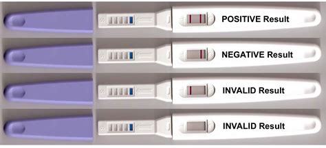 15 X Ovulation Test Pregnancy Test Kits Urine Midstream Testing Choose