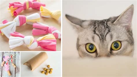 11 einfache katzenspielzeuge selbst gemacht mit dingen aus dem haushalt cat