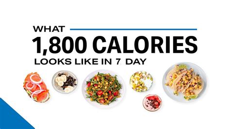 1800 Calorie Meal Plan A 7 Day Fat Loss Or Muscle Gain Youtube