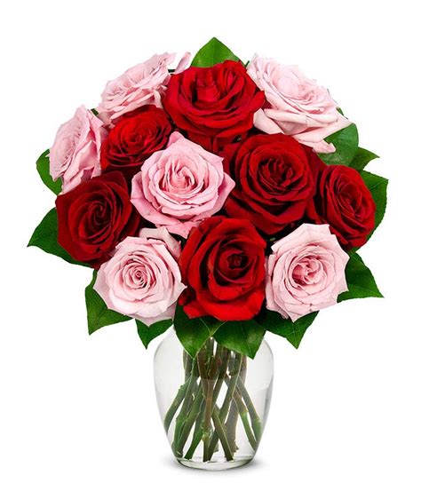 A Dozen Red And Pink Roses At From You Flowers