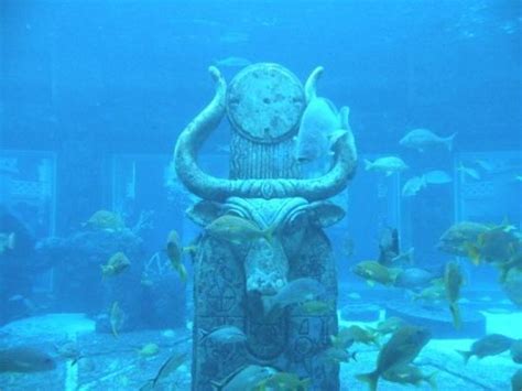 Is This The Lost City Of Atlantis Picture Of The Royal At Atlantis