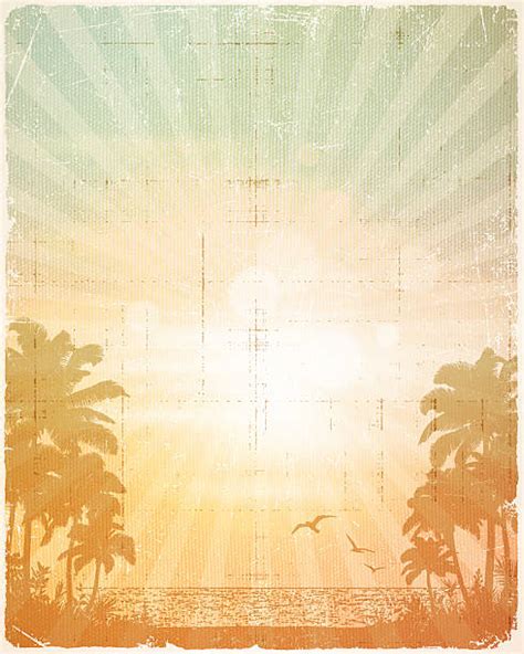 Vintage Beach Illustrations Royalty Free Vector Graphics
