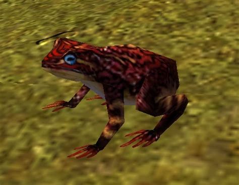 Red Frog Guild Wars Wiki Gww
